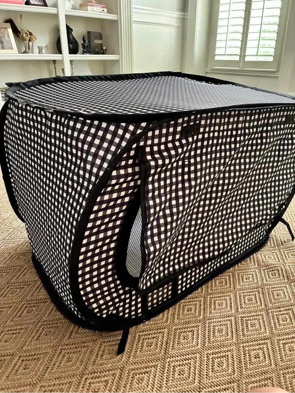 PET | pop up travel crate with collapsible litter box